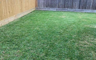 Photo of David E.'s yard after getting lawn care in Channelview, TX