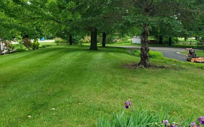Photo of Randy K.'s yard after getting lawn care in River Falls, WI