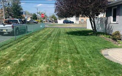 Photo of Carolina C.'s yard after getting lawn care in Arnold, MO