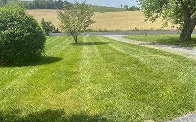 Photo of Jolene S.'s yard after getting lawn care in Mount Airy, MD