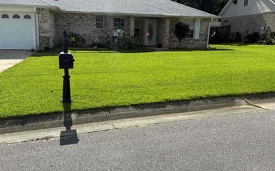 Photo of Brittney P.'s yard after getting lawn care in Silver Spring, MD