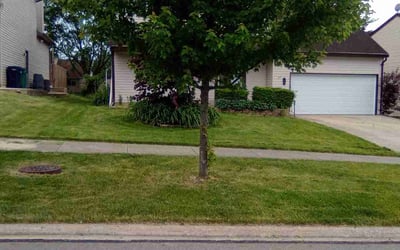 Photo of April S.'s yard after getting lawn care in Lombard, IL