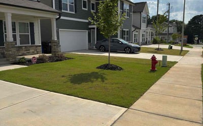 Photo of Soheyla M.'s yard after getting lawn care in Tallahassee, FL