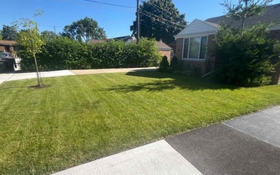 Photo of DANIEL L.'s yard after getting lawn care in Niles, IL