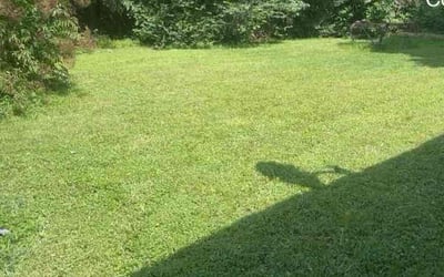 Photo of Jim E.'s yard after getting lawn care in Payson, UT