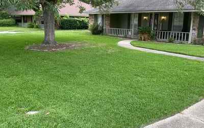 Photo of David S.'s yard after getting lawn care in Southport, NC