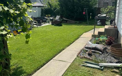 Photo of Terry M.'s yard after getting lawn care in Chester, PA