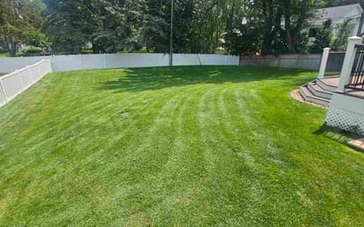 Photo of Delisha L.'s yard after getting lawn care in Edina, MN