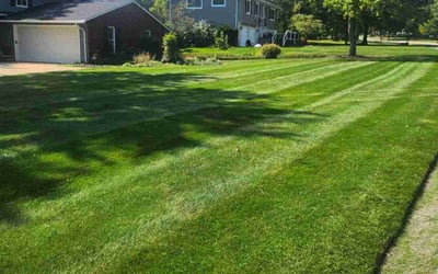 Photo of Tim W.'s yard after getting lawn care in Brecksville, OH