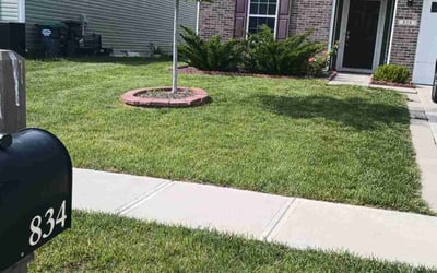 Photo of David F.'s yard after getting lawn care in Greenwood, IN