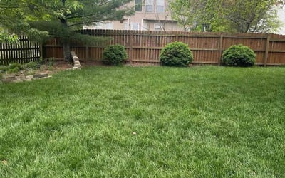 Photo of Scott K.'s yard after getting lawn care in Pataskala, OH
