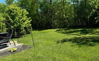 Photo of Denise G.'s yard after getting lawn care in Canton, MA