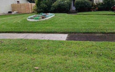 Photo of Michelle K.'s yard after getting lawn care in Ormond Beach, FL