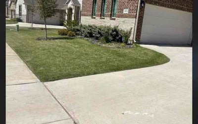 Photo of Samuel T.'s yard after getting lawn care in Seattle, WA