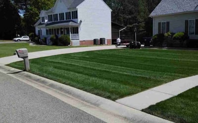 Photo of Terance B.'s yard after getting lawn care in Prince George, VA