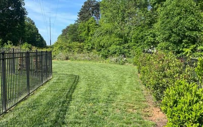 Photo of Wendy W.'s yard after getting lawn care in Graham, NC