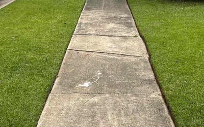 Photo of Vickie S.'s yard after getting lawn care in Moss Point, MS