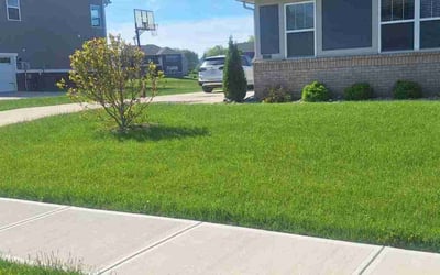 Photo of Walter H.'s yard after getting lawn care in Elwood, IN