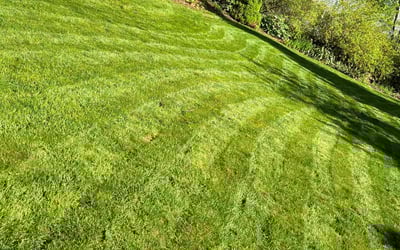 Photo of Brenda K.'s yard after getting lawn care in North Providence, RI