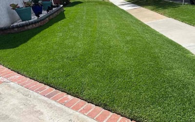 Photo of Althea C.'s yard after getting lawn care in Hawthorne, CA