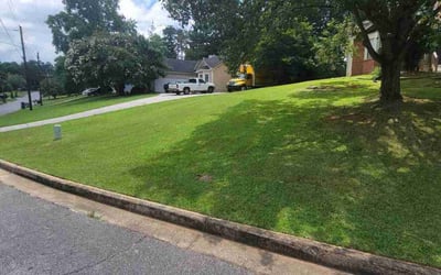 Photo of Mary J.'s yard after getting lawn care in Kansas City, KS