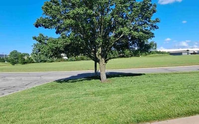Photo of Mitchell O.'s yard after getting lawn care in Waterloo, IA