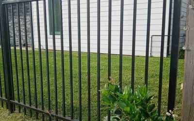 Photo of Joseph C.'s yard after getting lawn care in Orange, NJ