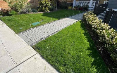 Photo of Anastasia S.'s yard after getting lawn care in Seattle, WA