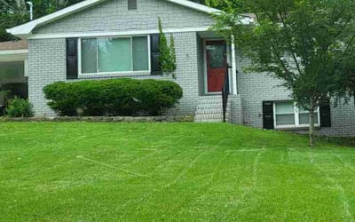 Photo of David T.'s yard after getting lawn care in Soddy Daisy, TN