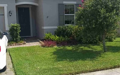 Photo of Nikita L.'s yard after getting lawn care in Ocoee, FL