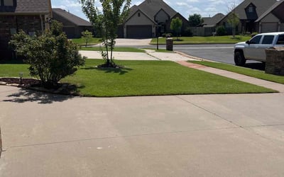 Photo of Hector C.'s yard after getting lawn care in Davenport, FL