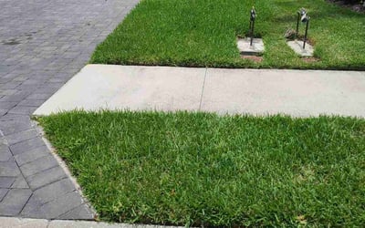 Photo of Ryan K.'s yard after getting lawn care in North Ridgeville, OH