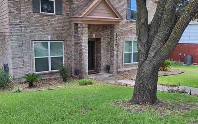 Photo of Bryce W.'s yard after getting lawn care in San Antonio, TX