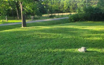 Photo of Christian F.'s yard after getting lawn care in Kingston, TN