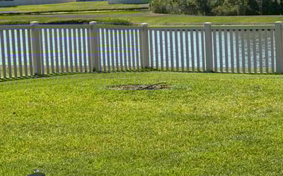Photo of Julio B.'s yard after getting lawn care in Garfield, NJ