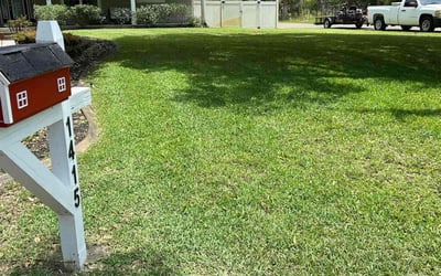 Photo of John C.'s yard after getting lawn care in Crystal River, FL