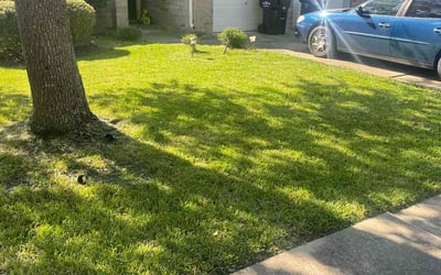 Photo of Raul G.'s yard after getting lawn care in Elizabethton, TN