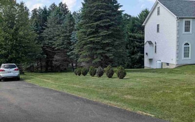 Photo of Mishu K.'s yard after getting lawn care in Bergenfield, NJ