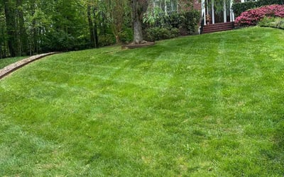 Photo of Bonnie S.'s yard after getting lawn care in High Point, NC
