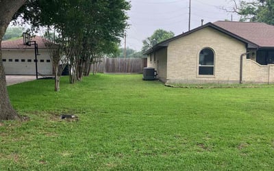 Photo of Tamar B.'s yard after getting lawn care in Waco, TX
