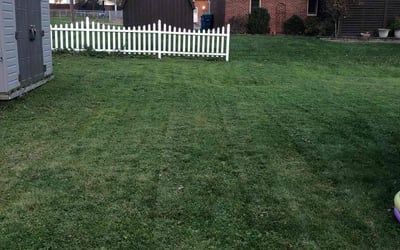 Photo of Mary L.'s yard after getting lawn care in Girard, OH