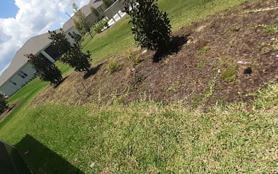 Photo of Rob J.'s yard after getting lawn care in Piqua, OH