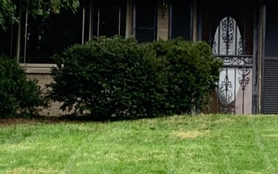 Photo of Jijo J.'s yard after getting tree care in Auburn, CA