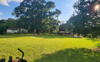 Photo of Kina G.'s yard after getting lawn care in Florence, SC