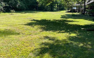 Photo of Allan (.'s yard after getting lawn care in Oneonta, AL