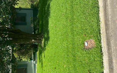 Photo of Terence H.'s yard after getting lawn care in Farmington, CT