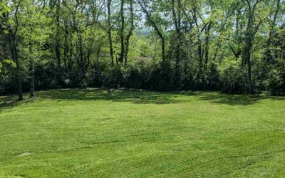 Photo of Matthew O.'s yard after getting lawn care in Nashville, TN
