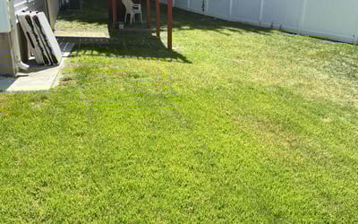 Photo of Linda W.'s yard after getting lawn care in Randolph, MA