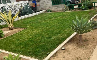 Photo of Leia B.'s yard after getting lawn care in Santa Ana, CA