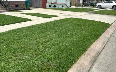 Photo of Cavin B.'s yard after getting lawn care in Pass Christian, MS